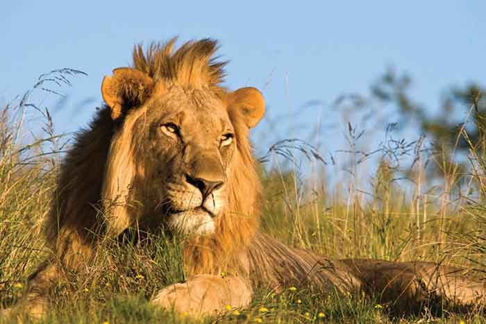 Hargreaves adds Liontrust sustainable corporate bond fund to buy list