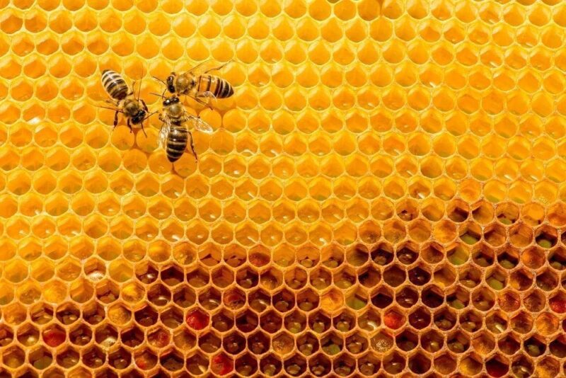 £340m Honeycomb trust merges away after failing to shake off Woodford discount