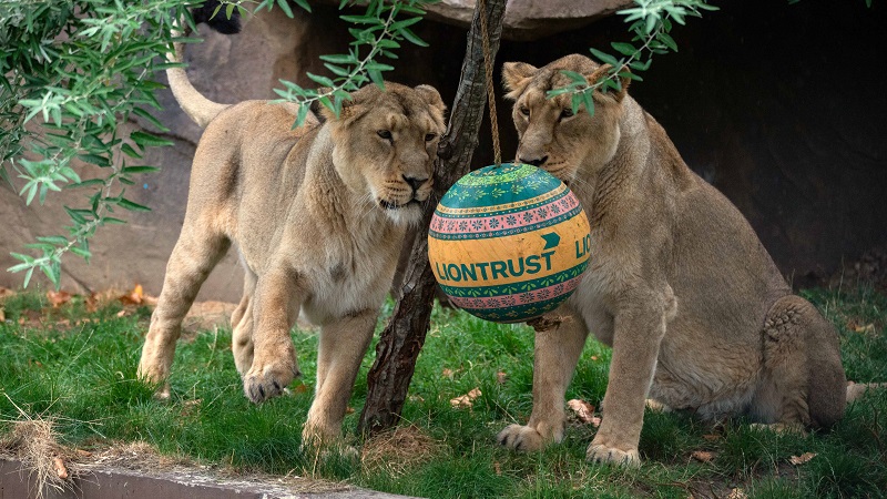 Liontrust demands £8.9m repayment from GAM