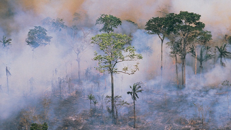 Investors turn up the heat on Amazon fires