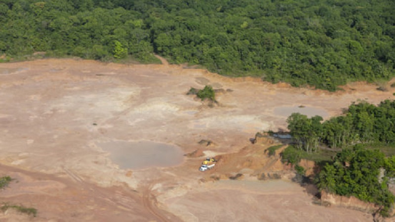 Blackrock ESG funds worst for deforestation risk