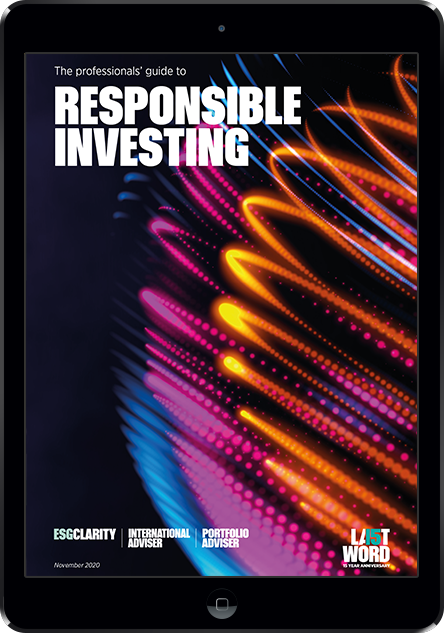 The Professionals’ Guide to Responsible Investing