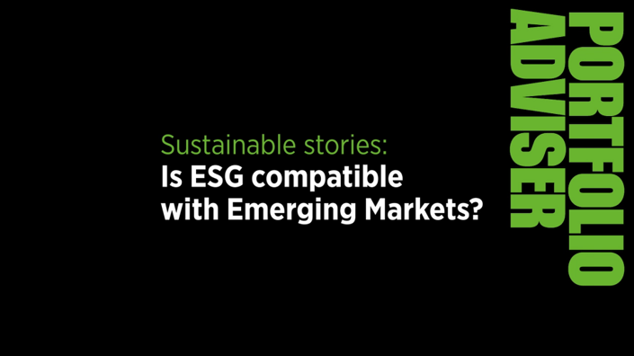 Is ESG compatible with emerging markets?