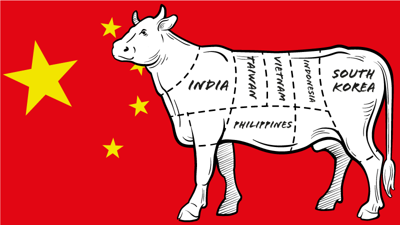 The bulls in China’s shop: the Asian economies taking a slice out of China