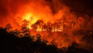 Time for investors to step up in fight against climate change