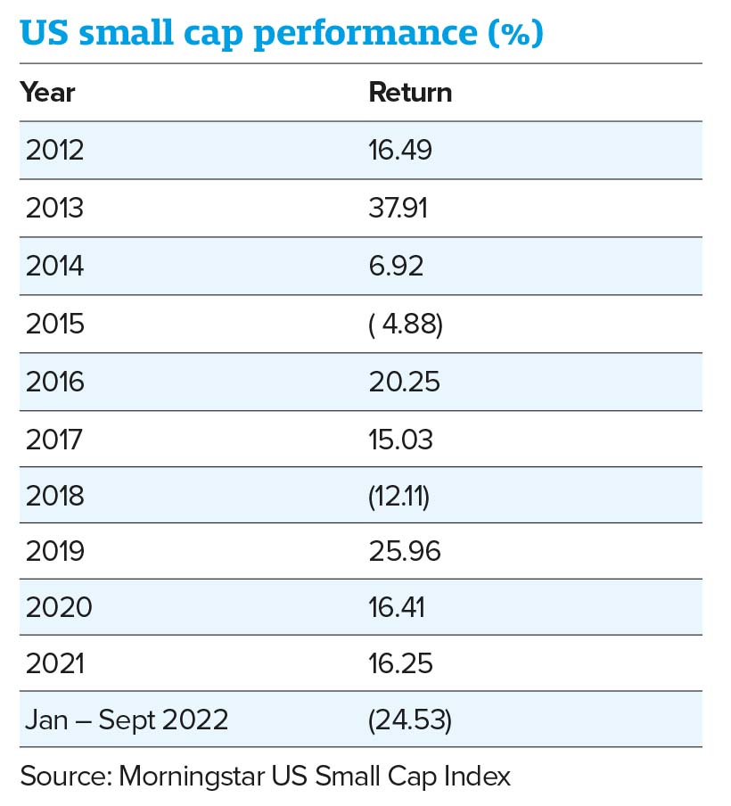 US small cap performance in percentage terms 2012-2022