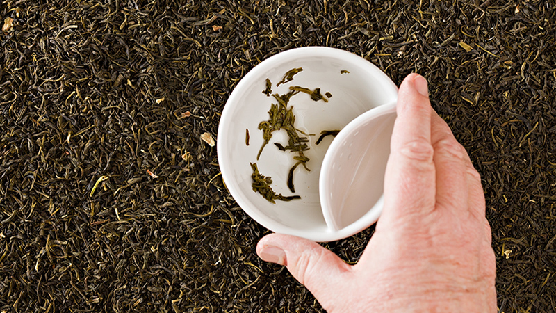 "An overhead close up of a tea cup over a background of green jasmine tea, a soothsayer is holding the cup while attempting to read the tea leaves."