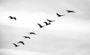 A NEW ERA OF FIXED INCOME INVESTING