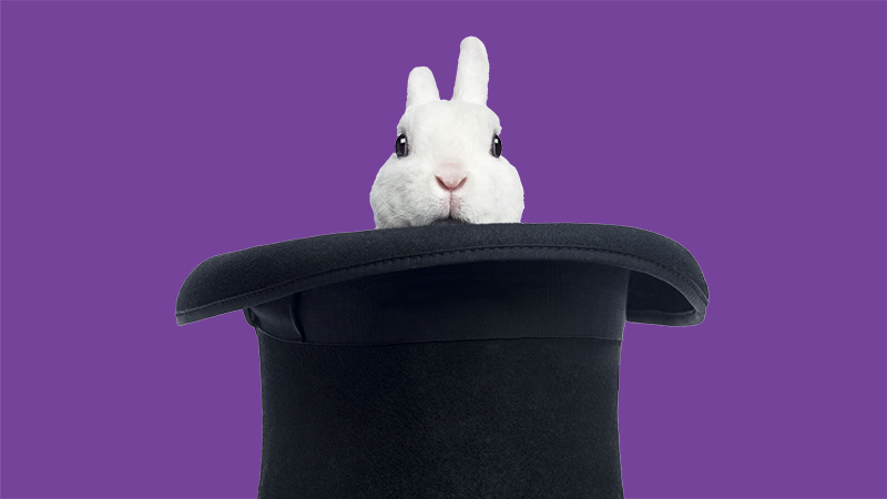 White rabbit peaking out of a magician's hat