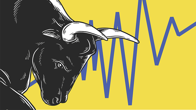 Cautious bull market