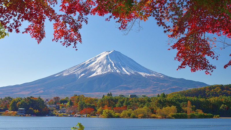 Lake Kawaguchi area, Yamanashi Prefecture, is famous for its beautiful autumn leaf color in November. Here are photos taken at the shore of Lake kawaguchi, one of the Fuji Five Lakes. Lake Kawaguchi is a part of Fuji-Hakone-Izu National Park. Mt Fuji is designated as UNESCO World Heritage Site.