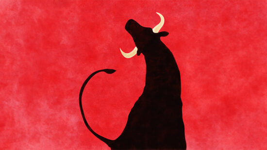 Investment trusts: Time to take the bull by the horns