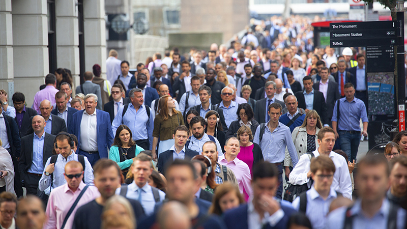 ‘Slowdown well and truly underway,’  jobs data shows