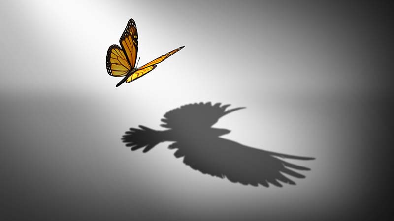 Asset management seeks to reinvent itself to meet industry challenges