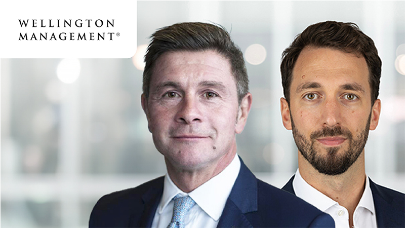 Five ideas to help optimise bond portfolios