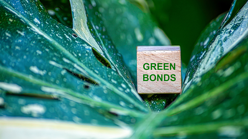 Amova’s Williams: Why green bonds deserve a second look